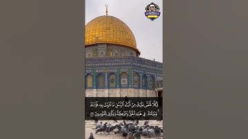 #الشيخ_المنشاوي تلاوه تريح القلب من ضجيج الحياة
