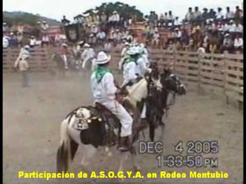 Yaguachi Aso De Ganaderos Participan En Los Rodeo Montubio Youtube