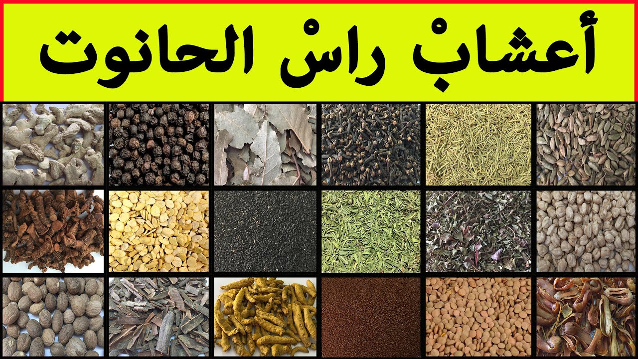 أعشاب راس الحانوت