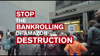 #AmazonCeaseFire PSA