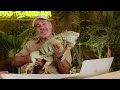 Reptile Expert Answers Reptile Questions From Twitter | Tech Support | WIRED