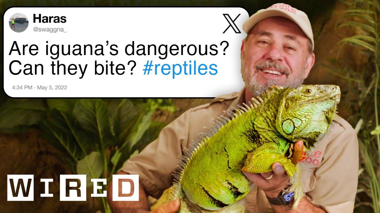 Reptile Expert Answers Reptile Questions From Twitter Tech Support WIRED