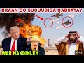 DEGDEG DAAWO SUCUUDIGA OO HADA GUBANAYA DUQAYMO HALISA TRUMP OO HADA KABAXAY WARSHADI LAYDHKA DEGDEG DAAWO SUCUUDIGA OO HADA GUBANAYA DUQAYMO HALISA TRUMP OO HADA KABAXAY WARSHADI LAYDHKA