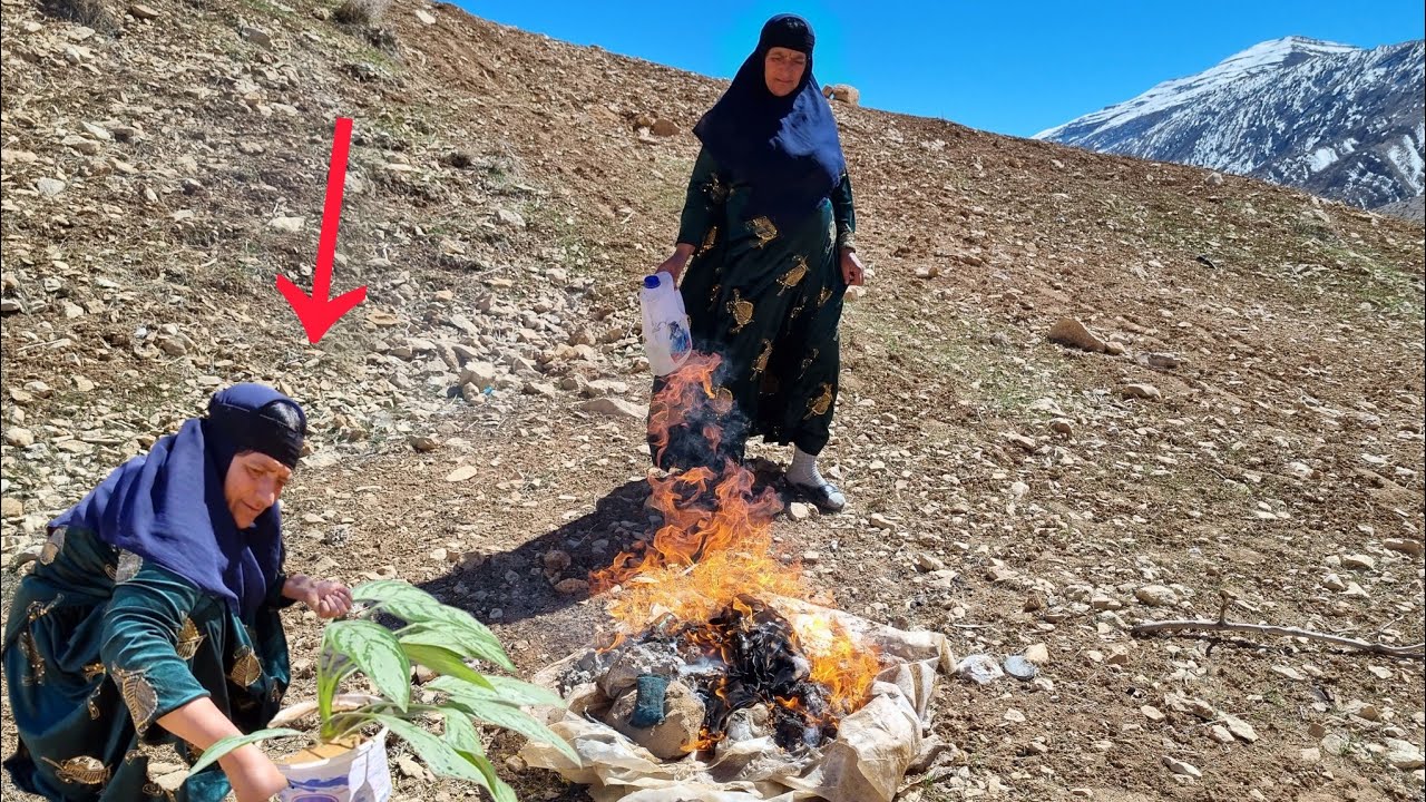 Life in the Cave: The Amazing Story of the Old Mountain Woman