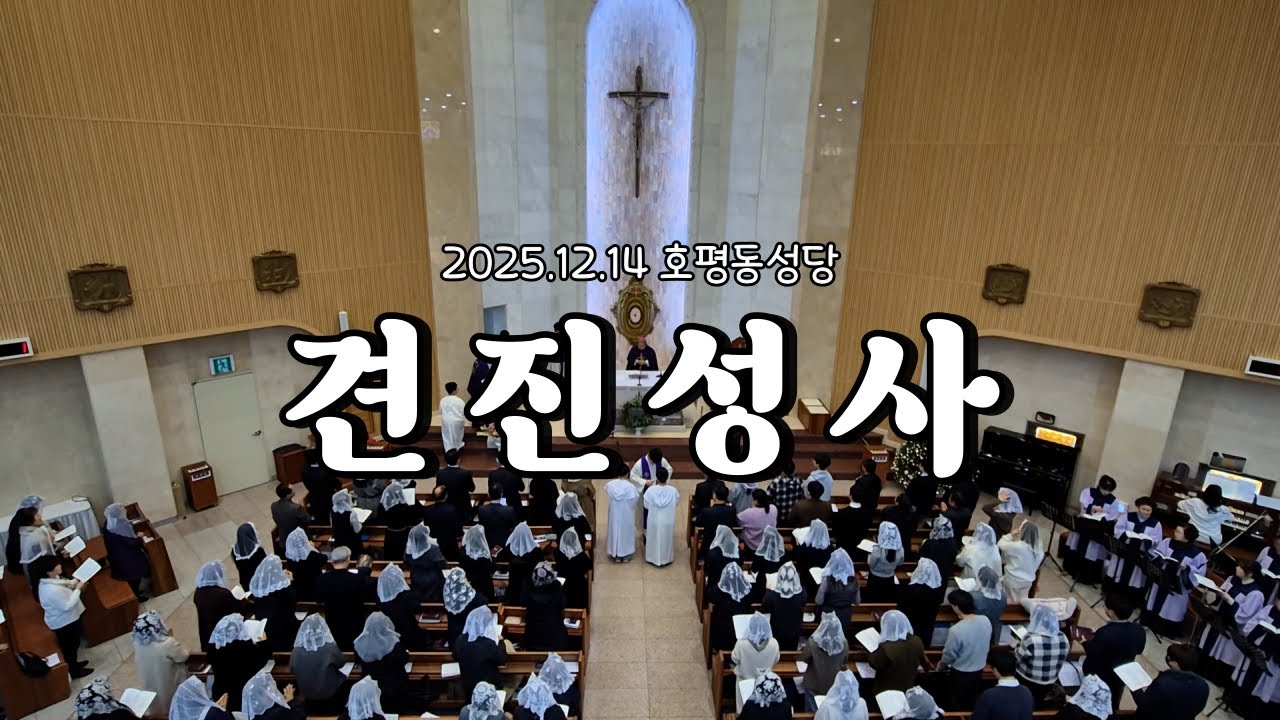 [호평동성당] 2025.12.14 견진성사, 의정부교구 손희송 베네딕토 주교님 집전
