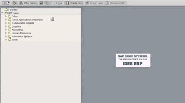 SAP Blocking Or Deleting GL Accounts
