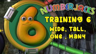 Agent Training 6 | Wide, tall, one , many | Fall sorted | Numberjacks