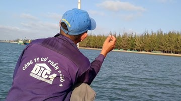 Câu cá ở biển lộc an