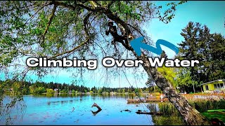 Climbing Trees Over Water | BIG Tree Trimming & SRT Climbing