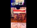 Vinyl Unboxing: Cowboy Bebop (Soundtrack from the Netflix Series)