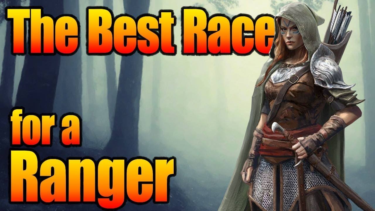 d&d 5th edition races d&d 5th edition races