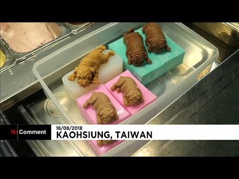 Video: Goditi Il gelato Del Cucciolo In Questo Ristorante A Taiwan
