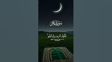 وَأُفَوِّضُ أَمْرِي إِلَى اللَّهِ |سورة غافر آية 44 مشاري_العفاسي #quran #قرآن #السعودية #instagram