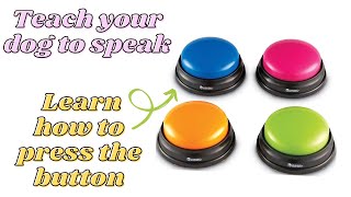 Teach your dog to 'TALK' using buttons | First Step: TEACH DOG TO PRESS BUTTON