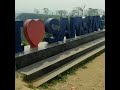 panchi Sur me gate hain#nature #shorts#shortsvideo #youtubeshorts #shortsswasti