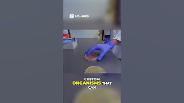 Carbon Capture & Synthetic Bio: Solving Climate Change?