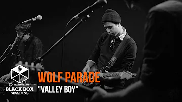 Wolf Parade - "Valley Boy"