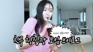 Daily Vlog | 22년지기 친구의 청첩장 모임, 의왕 프리미엄 아울렛 아그라 방문, 평촌 롯데백화점에서 친구 신혼집 방문 선물 사기, 친구 신혼집 방문기까지! !