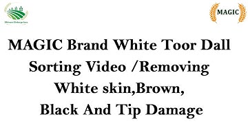 MAGIC Brand White Toor Dall Sorting Video /Removing White skin, Brown, Black And Tip Damage