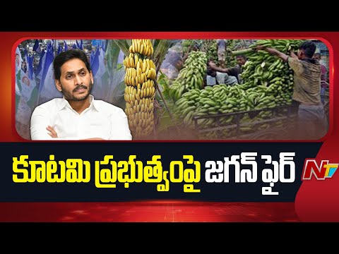 YS Jagan Fires On AP Govt | CM Chandrababu | NTV Telugu - NTVTELUGU