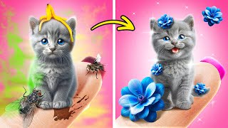 Save This Cute Tiny Kitten 😿 Homeless Cat Makeover and Pet Gadgets