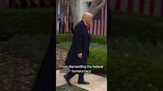What You May Have Missed From Trump's First 100 Days