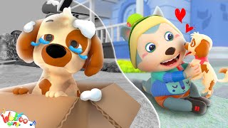 Lonely Puppy Need a Home 🤗 Caring Pet Song - Imagine Kids Songs & Nursery Rhymes | Wolfoo Kids Song