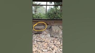 Line and sleeper jumps  #line #track #shorts