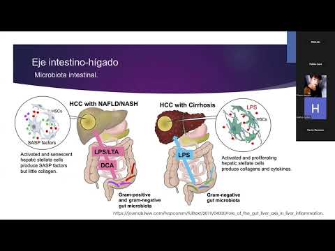 TRANSFORMANDO VIDAS LA OBESIDAD COMO ENFERMEDAD