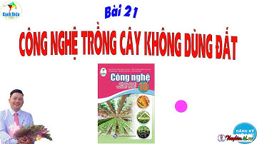 Công Nghệ Trồng Trọt 10 Cánh Diều_Bài 21 Công Nghệ Trồng Cây Không Dùng Đất