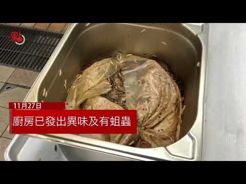 dotdotnews點新聞:校內遍佈危險品 飯堂廚餘爬滿蛆蟲