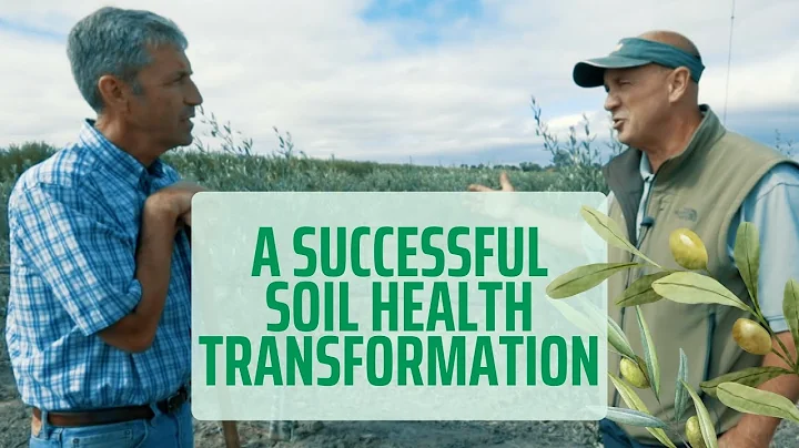 Successful Soil Health Transformation #regenerativefarming #soilhealth #organic