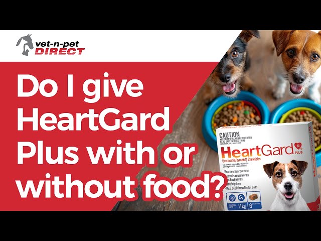 when should i give my puppy heartgard