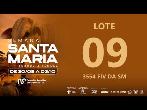 LOTE 09 FSM A3554