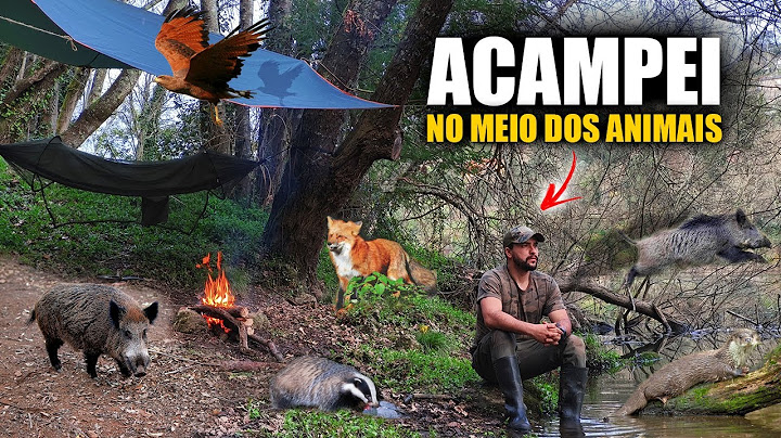 Passei a Noite Acampado No Meio dos Animais Selvagens!