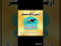 Khoji Dog Contact Number Mandi Bahauddin | Khoji Dog Contact Us All Pakistan