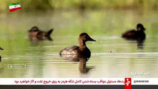خبر نیمروزی - شنبه 16 خرداد 1405