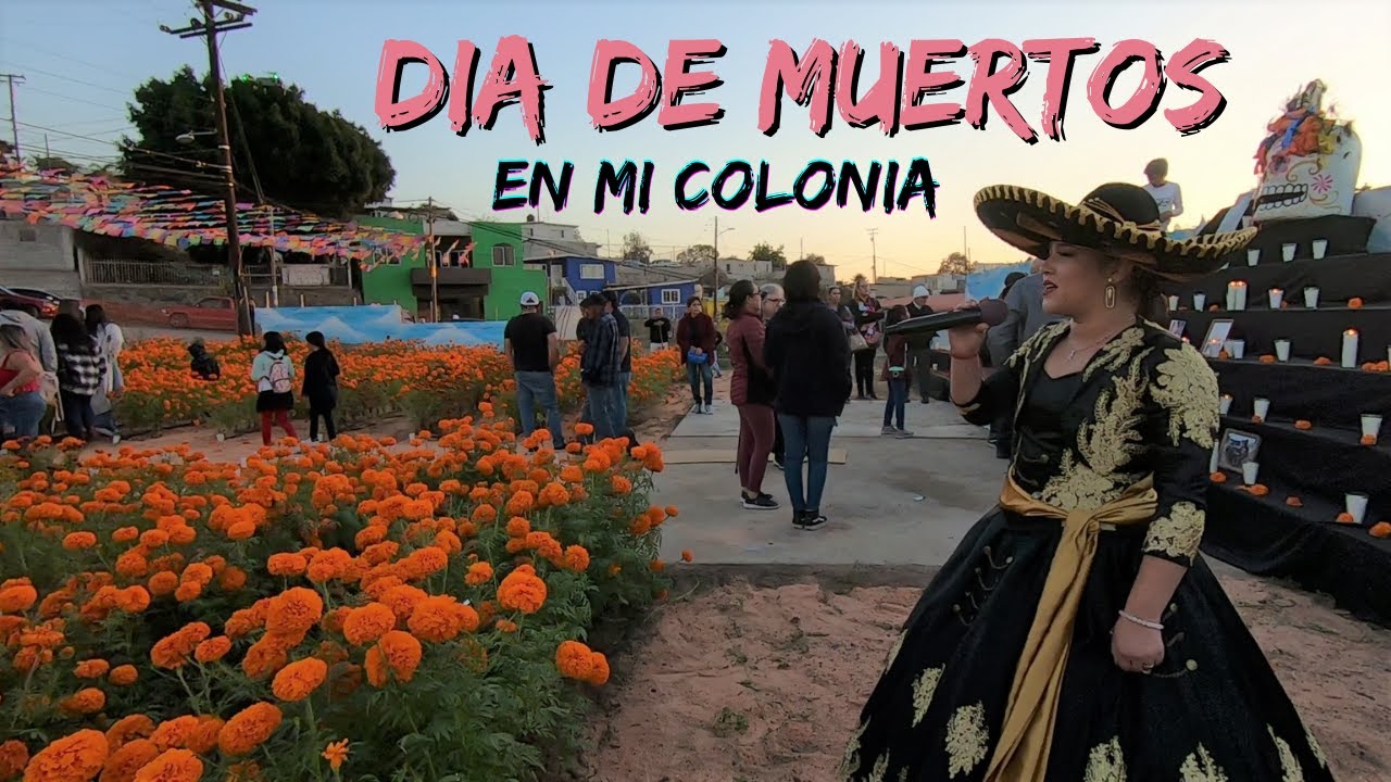 Celebrando Dia De Muertos 2022 | Baja California | De Aventuras - YouTube