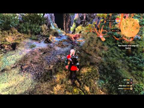 The Witcher 3: Wild Hunt - Monty Python Easter Egg