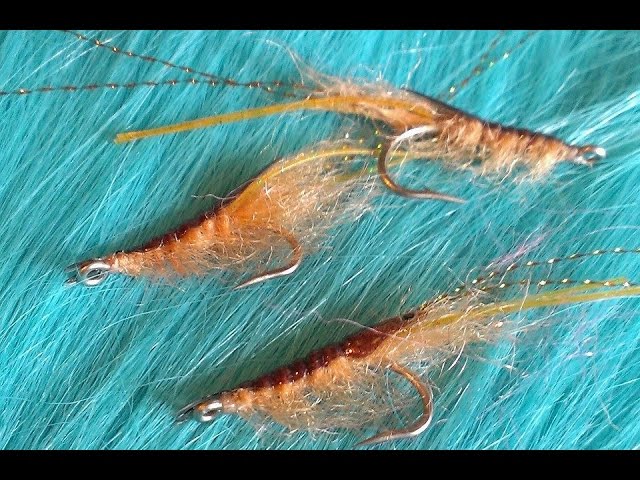 Tying the Pro shrimp saltwater fly 