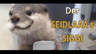 XXUwe - FRANKEN ANIMALS 10 screenshot 3