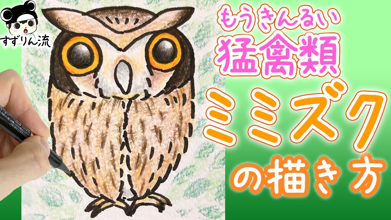 鳥のイラスト 簡単 ミミズクの描き方 Youtube