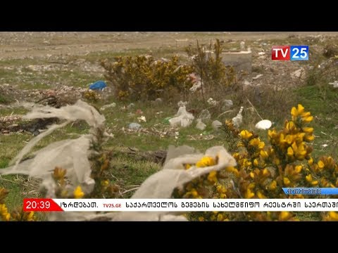 ნაგვით სავსე პლაჟი და მოუწესრიგებელი ინფრასტრუქტურა კარიელის დასახლებაში