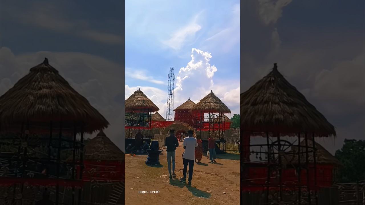 Parbelia Colleary durga puja 2025 