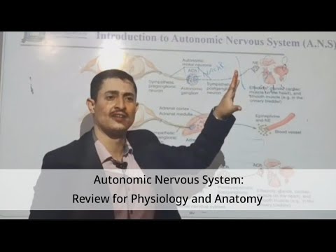 1        الجهاز العصبي اللاإرادي مقدمة