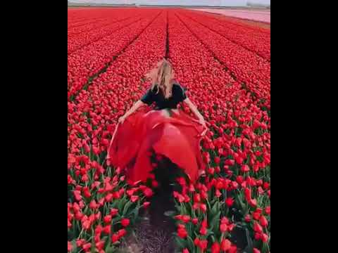 اشتاقيت اخفا بحضنك بلا خوف