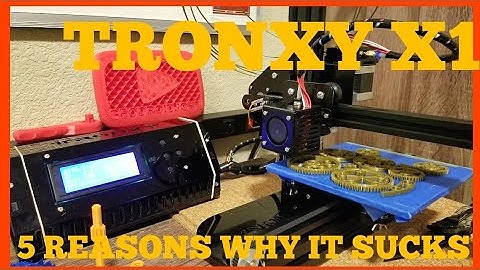 TronXY X1 3D Printer- 5 WORST Things! Ft. My Cat...