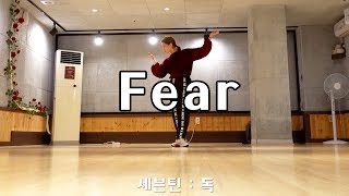 SEVENTEEN(세븐틴) 독 : Fear | DANCE COVER | MIRRORED | PRACTICE