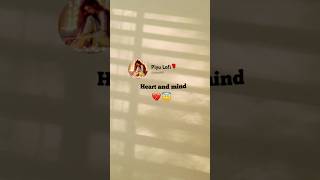 Quotes Status Video New Viral Quotes Status Video