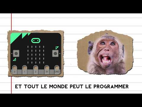 Qu'est ce que c'est le micro:bit?